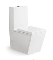 [One-piece Toilet] A-389-1 A-389-1