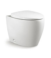 [Floor Toilet] B-2375B B-2375B